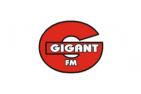 GigantFM luisteren online